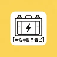 전기차 배터리